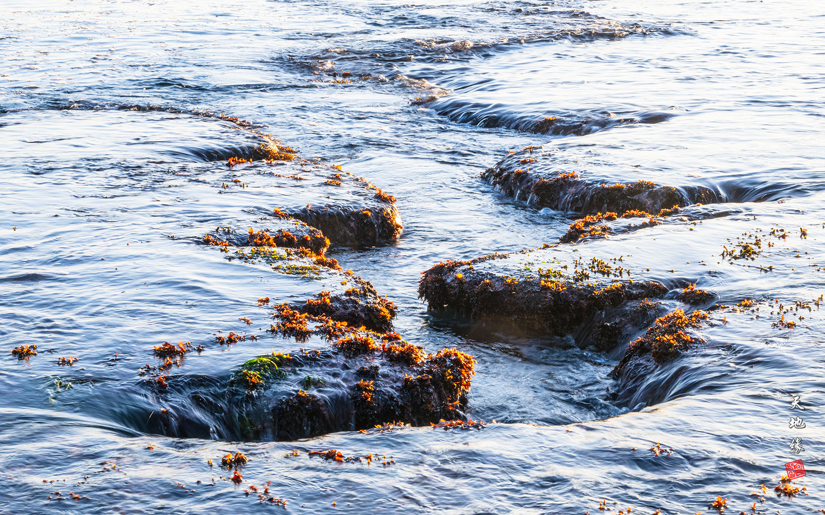 PHOTO BY KKY_CWANG_YEOL | NIKON Z 8 | 2024:01:13 08:03:53 | ISO-250 | 1/25 sec | f 22 | 68 mm | EV=0.3 | ● WIDTH:1700 pixels  HEIGHT:1062 pixels