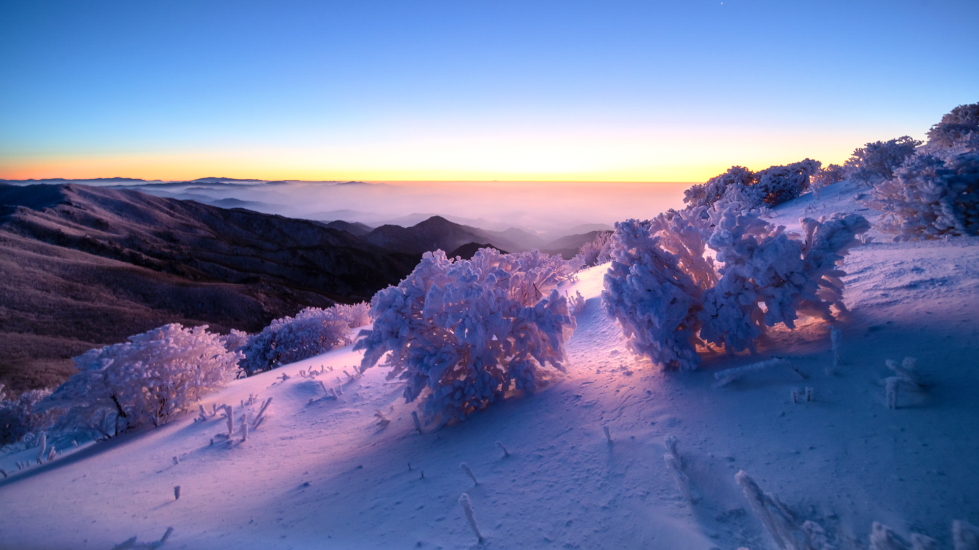 PHOTO BY CHQM | NIKON D850 | 2024:01:04 07:06:59 | ISO-400 | 1/5 sec |  |  | EV=0 | ● WIDTH:1920 pixels  HEIGHT:1080 pixels