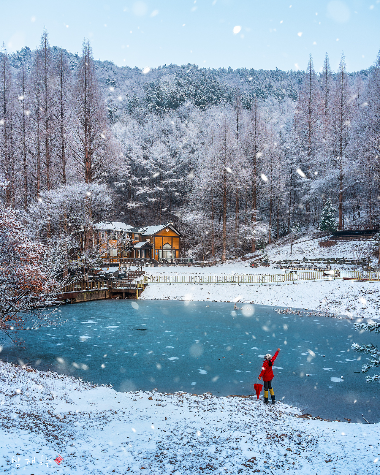 PHOTO BY bodhi-dharma | ILCE-7M4 | 2024:01:10 17:05:52 | ISO-100 | 1/40 sec | f 5.6 | 24 mm | EV=0 | ● WIDTH:1280 pixels  HEIGHT:1600 pixels