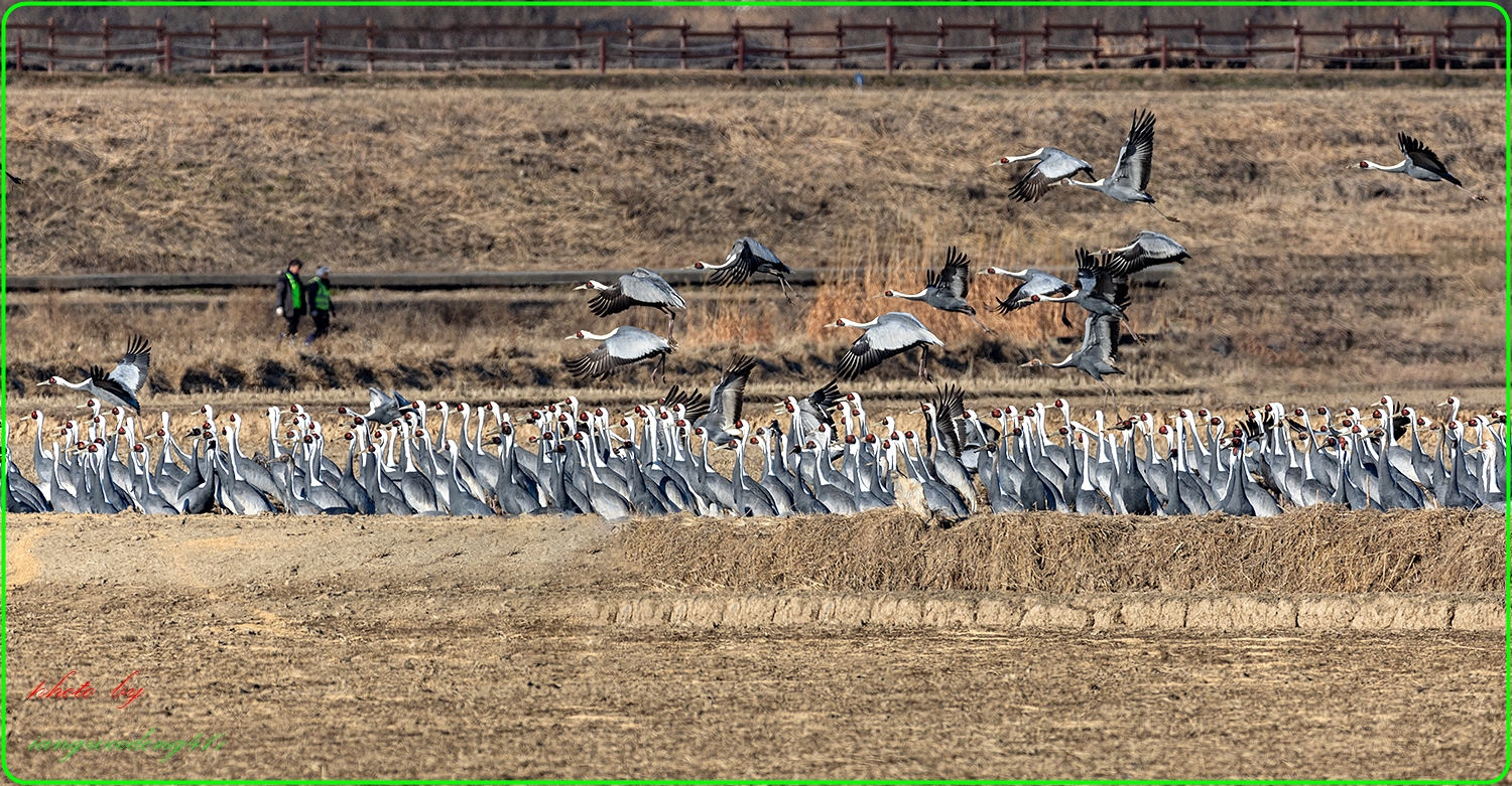   | PHOTO BY : 湖 隱 장우동  |