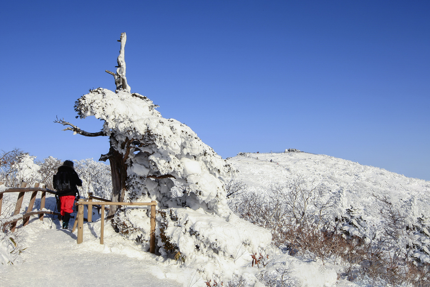 PHOTO BY  | CanonCanon  |  | ISO- |  |  |  | EV=0 | ● WIDTH:  HEIGHT: