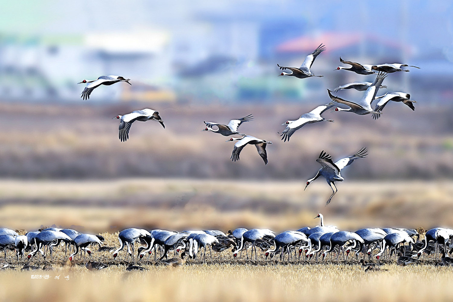 PHOTO BY  | KON CORPO |  | ISO- |  |  |  | EV=0 | ● WIDTH:  HEIGHT: