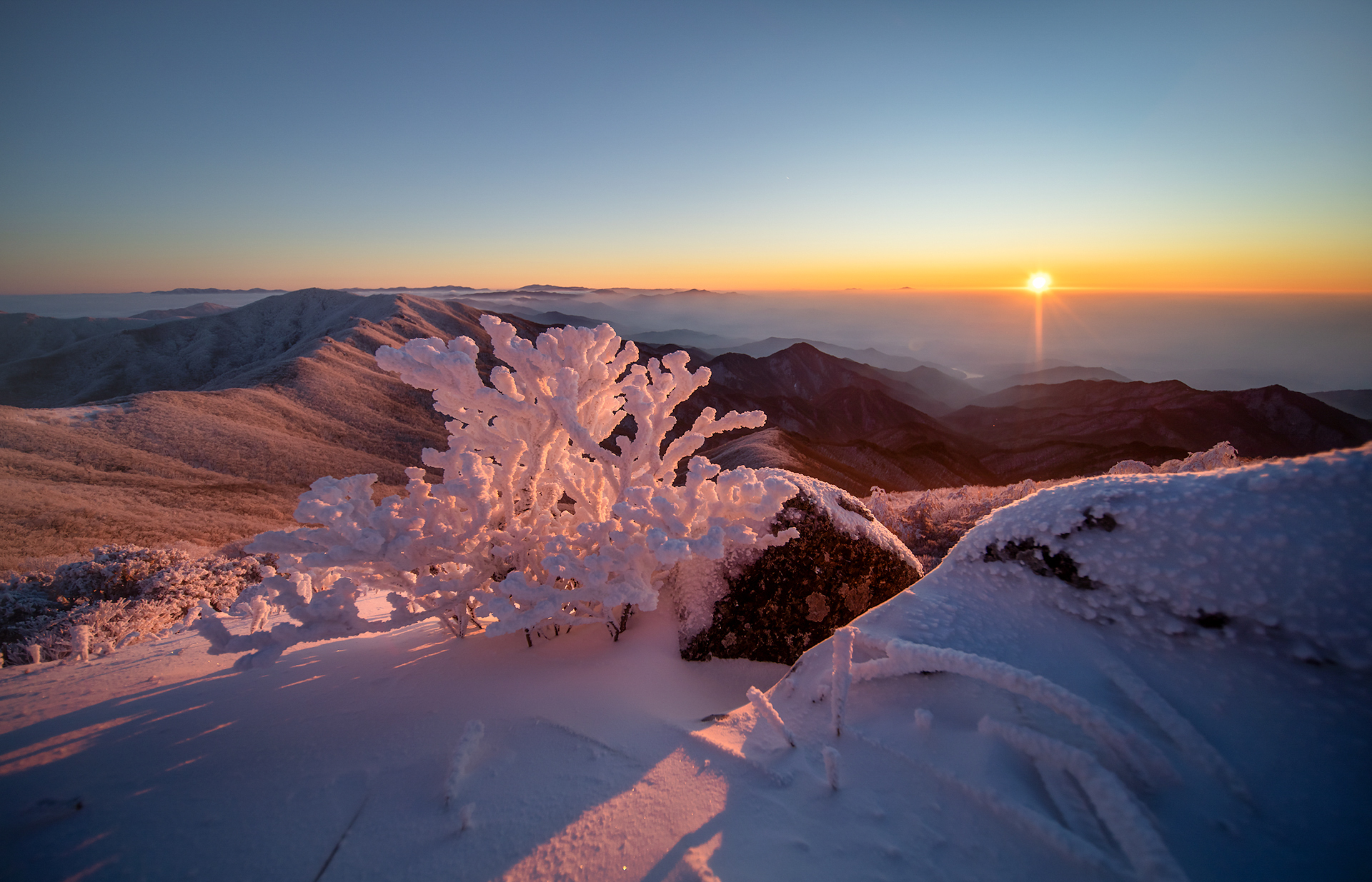 PHOTO BY CHQM | NIKON D850 | 2024:01:04 07:39:59 | ISO-200 | 1/800 sec |  |  | EV=0 | ● WIDTH:1920 pixels  HEIGHT:1235 pixels