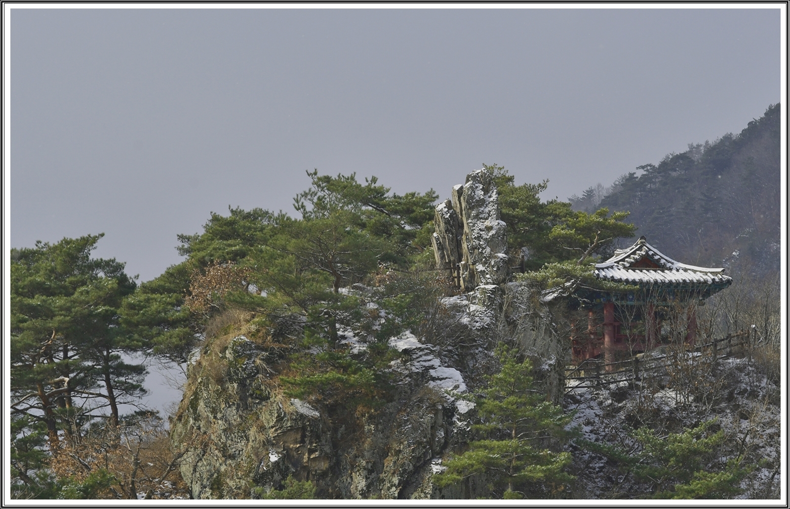 PHOTO BY  | NIKON D500 | 2023:12:25 12:36:38 | ISO-200 | 1/500 sec | f 11 | 85 mm | EV=0 | ● WIDTH:5568 pixels  HEIGHT:3712 pixels