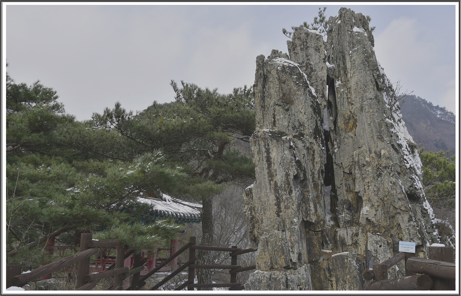 PHOTO BY  | NIKON D500 | 2023:12:25 12:51:59 | ISO-200 | 1/350 sec | f 9.5 | 24 mm | EV=0.5 | ● WIDTH:5568 pixels  HEIGHT:3712 pixels