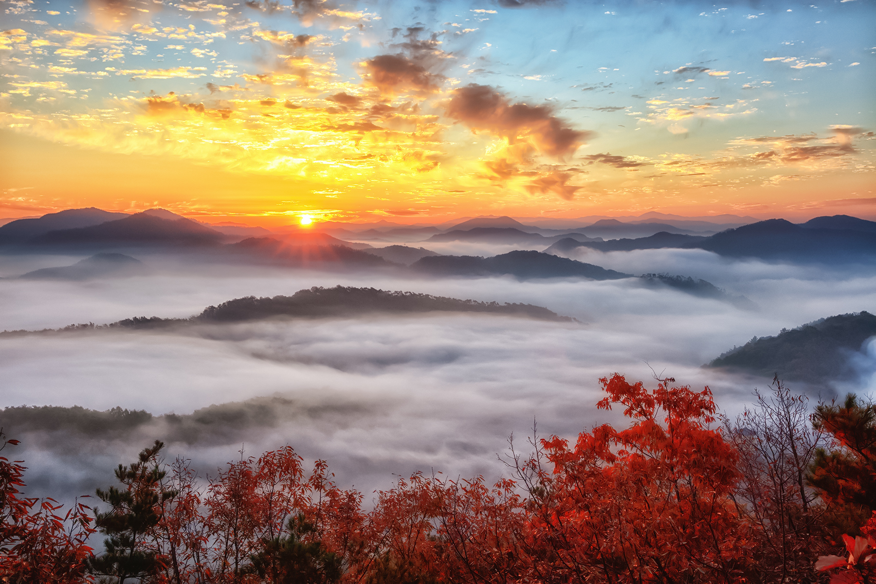 PHOTO BY  | Canon EOS 5DS R | 2017:11:06 07:16:04 | ISO-200 | 1/200 sec | f 8 | 35 mm | EV=0 | ● WIDTH:1800 pixels  HEIGHT:1200 pixels