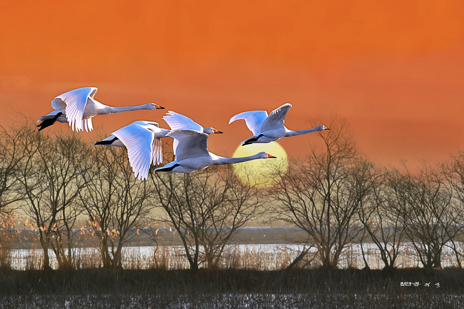 PHOTO BY  | KON CORPO |  | ISO- |  |  |  | EV=0 | ● WIDTH:  HEIGHT: