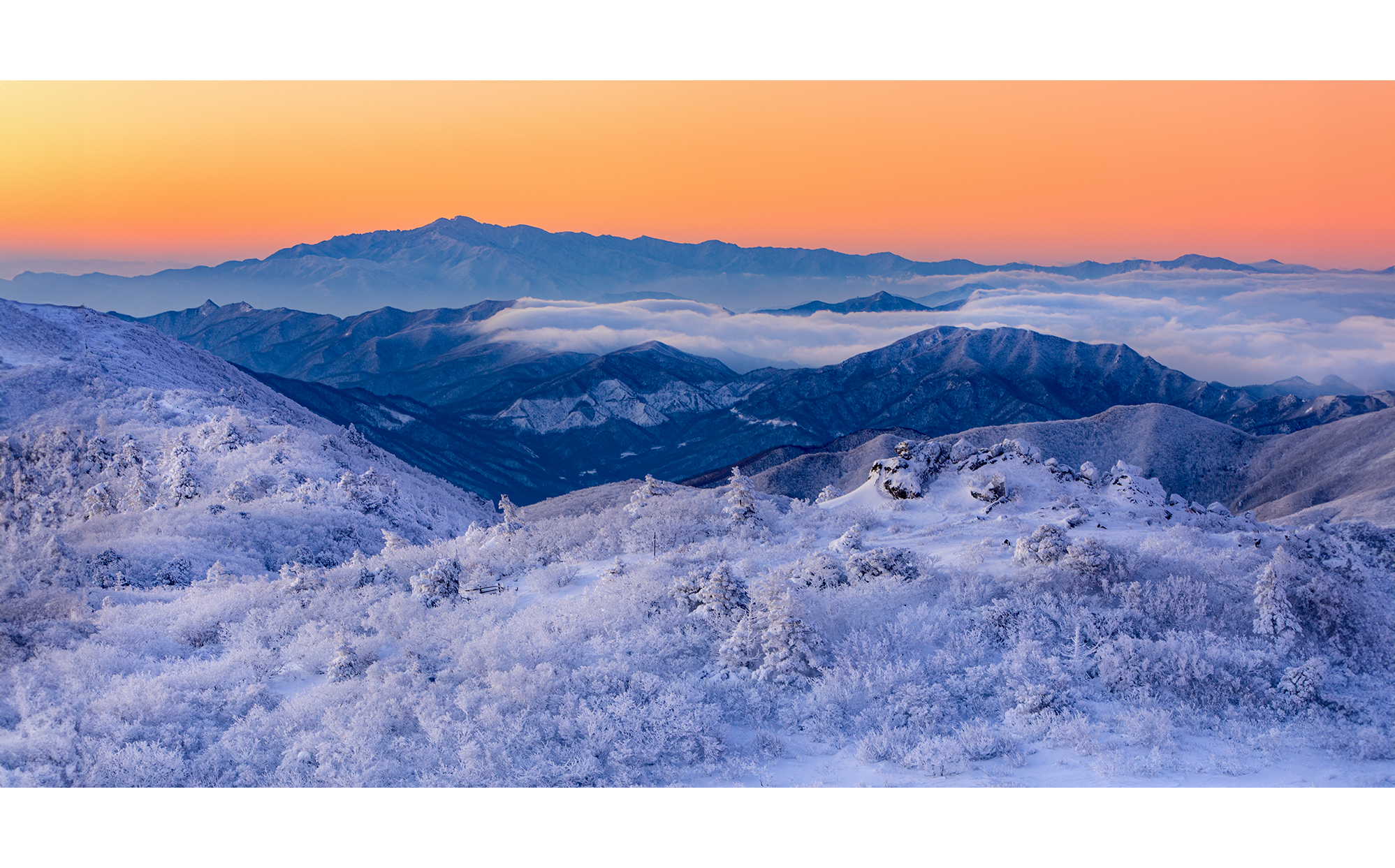 PHOTO BY :01:22 20:40:5 | CanonCanon |  | ISO- |  |  |  | EV=0 | ● WIDTH:  HEIGHT: