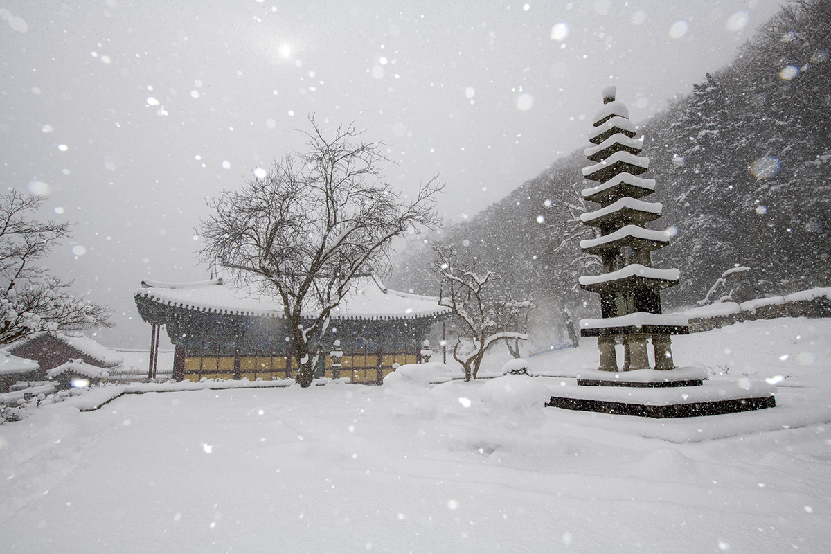 PHOTO BY  | NIKON D850 | 2024:01:23 12:30:57 | ISO-100 | 1/250 sec | f 11 | 20 mm | EV=0 | ● WIDTH:1200 pixels  HEIGHT:800 pixels