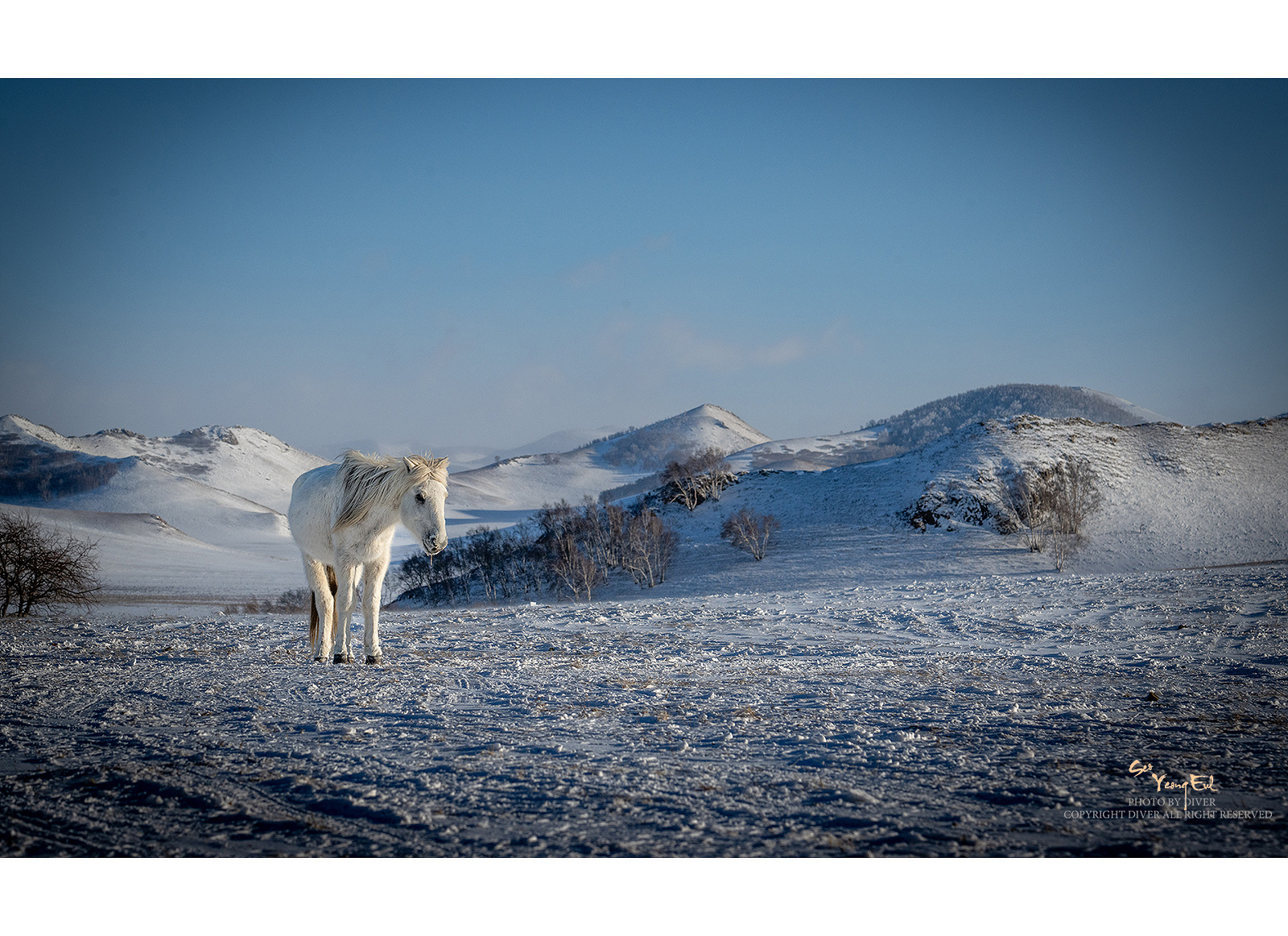 PHOTO BY  | NIKON Z 9 | 2024:01:06 16:07:22 | ISO-400 | 1/2000 sec | f 11 | 135 mm | EV=0 | ● WIDTH:1600 pixels  HEIGHT:1163 pixels