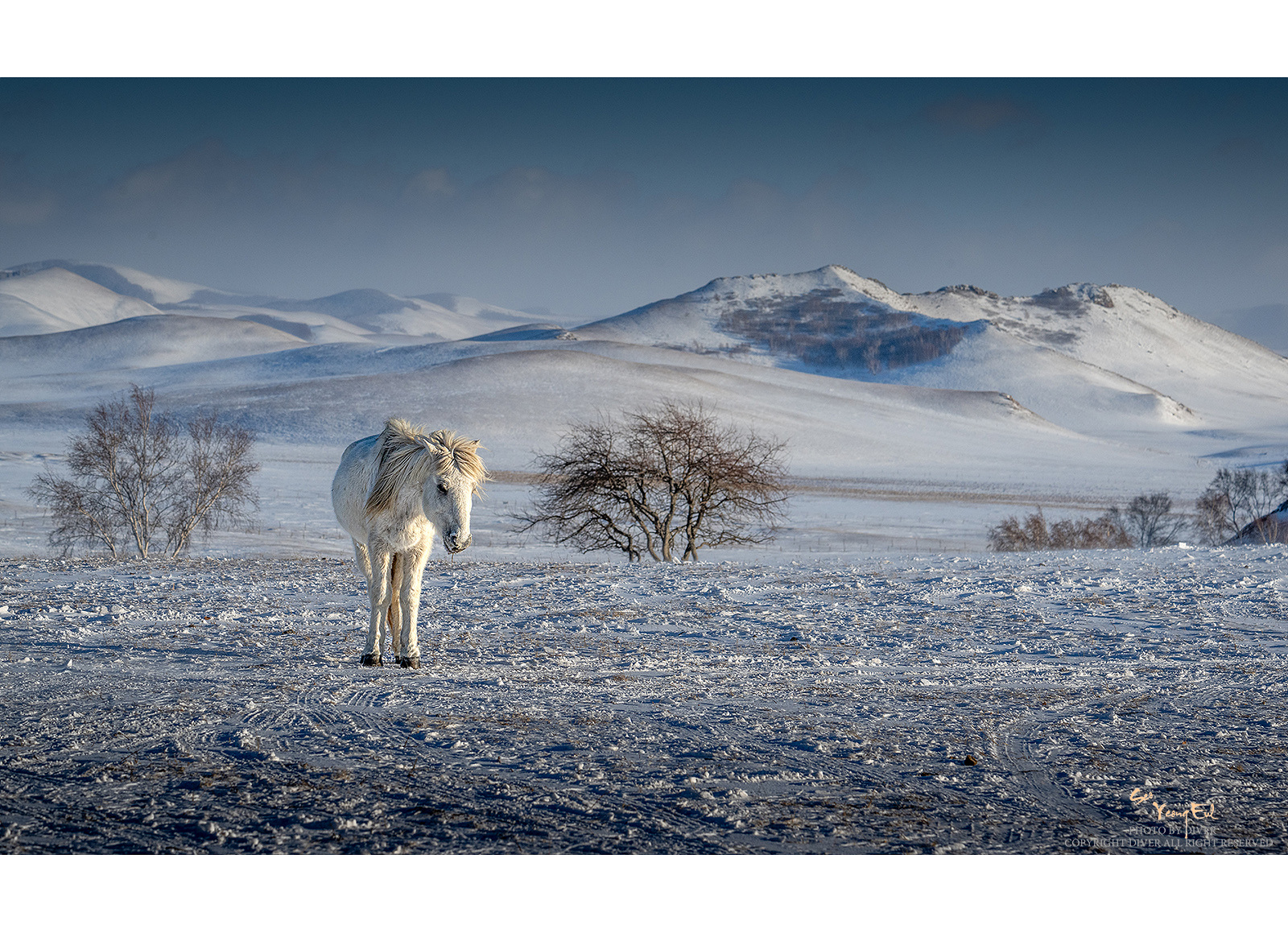 PHOTO BY  | NIKON Z 9 | 2024:01:06 16:09:51 | ISO-400 | 1/1600 sec | f 11 | 155 mm | EV=0 | ● WIDTH:1600 pixels  HEIGHT:1159 pixels