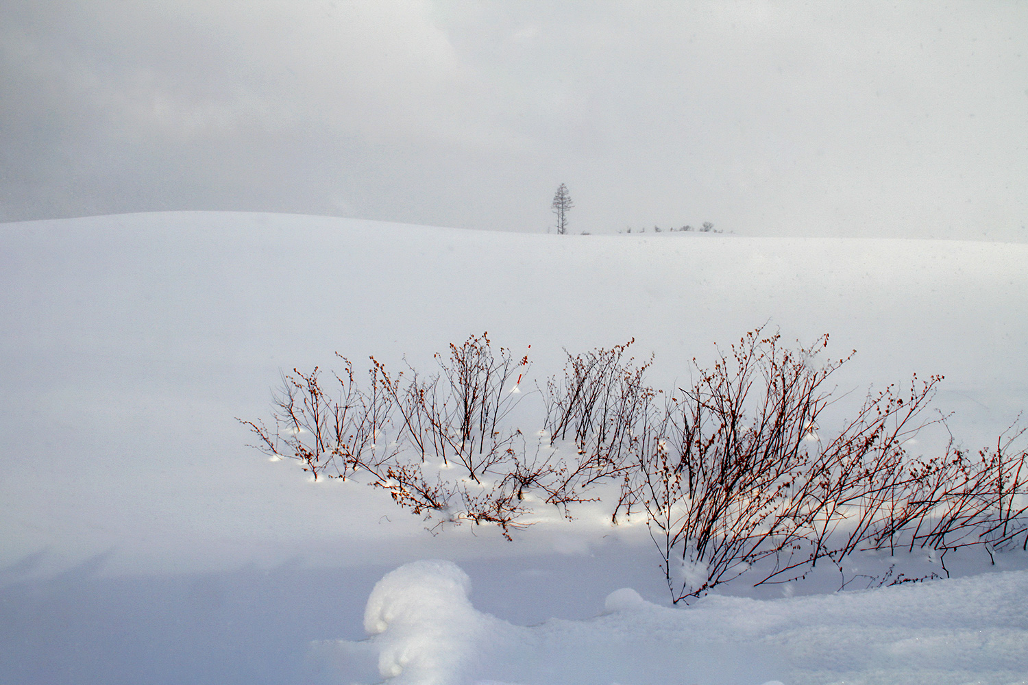 PHOTO BY  | Can |  | ISO- |  |  |  | EV=0 | ● WIDTH:  HEIGHT: