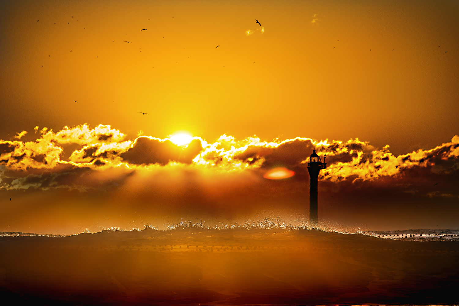 PHOTO BY ZENITHJin62 | NIKON D810 | 2024:01:24 07:43:40 | ISO-400 | 1/1600 sec | f 7.1 | 300 mm | EV=-0.3 | ● WIDTH:1500 pixels  HEIGHT:1001 pixels