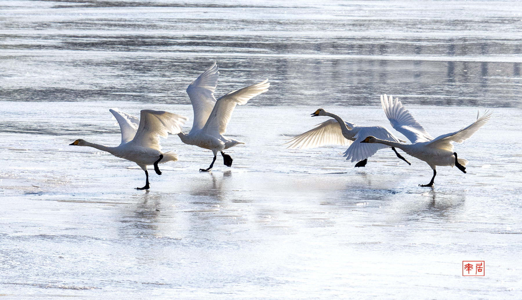 PHOTO BY changikheun | Canon EOS 90D | 2024:01:24 09:31:46 | ISO-400 | 1/1600 sec | f 8 | 235 mm | EV=0 | ● WIDTH:1800 pixels  HEIGHT:1035 pixels