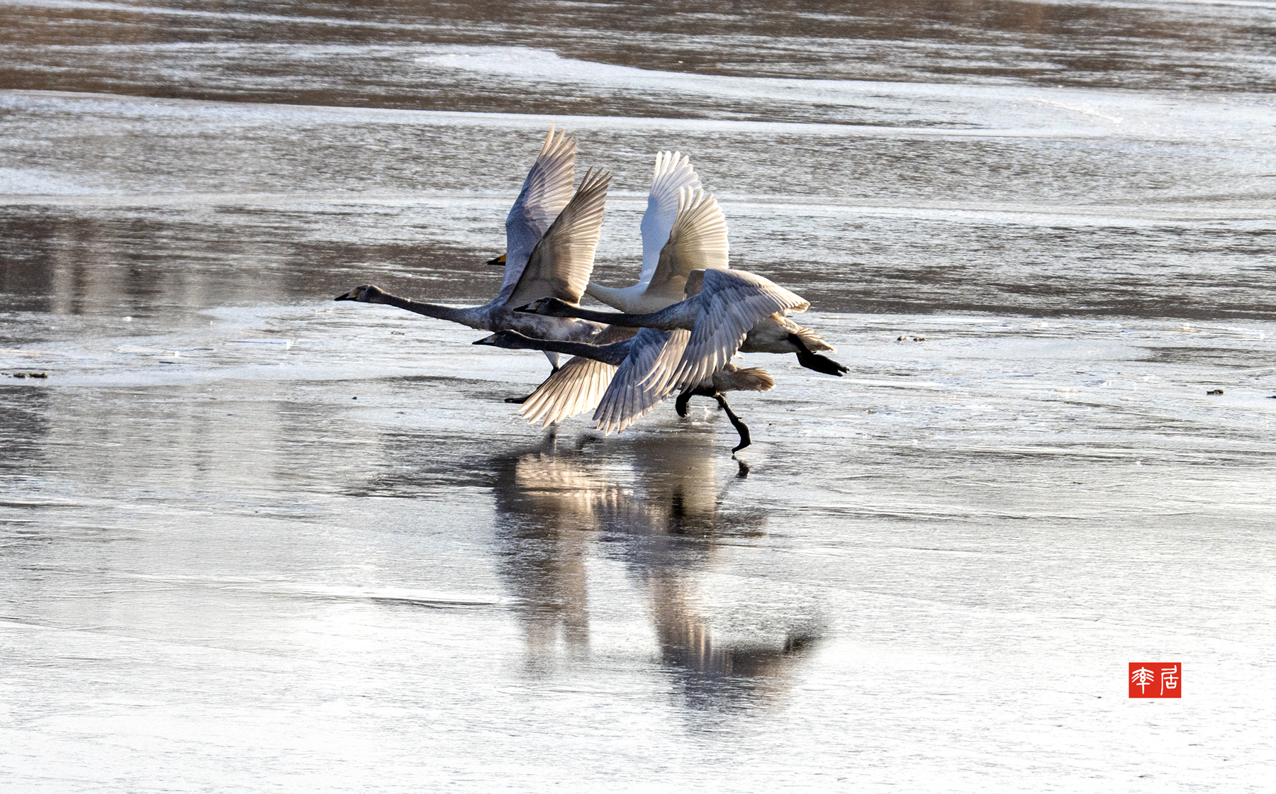 PHOTO BY changikheun | Canon EOS 90D | 2024:01:24 09:23:09 | ISO-400 | 1/1600 sec | f 8 | 190 mm | EV=0 | ● WIDTH:1800 pixels  HEIGHT:1120 pixels
