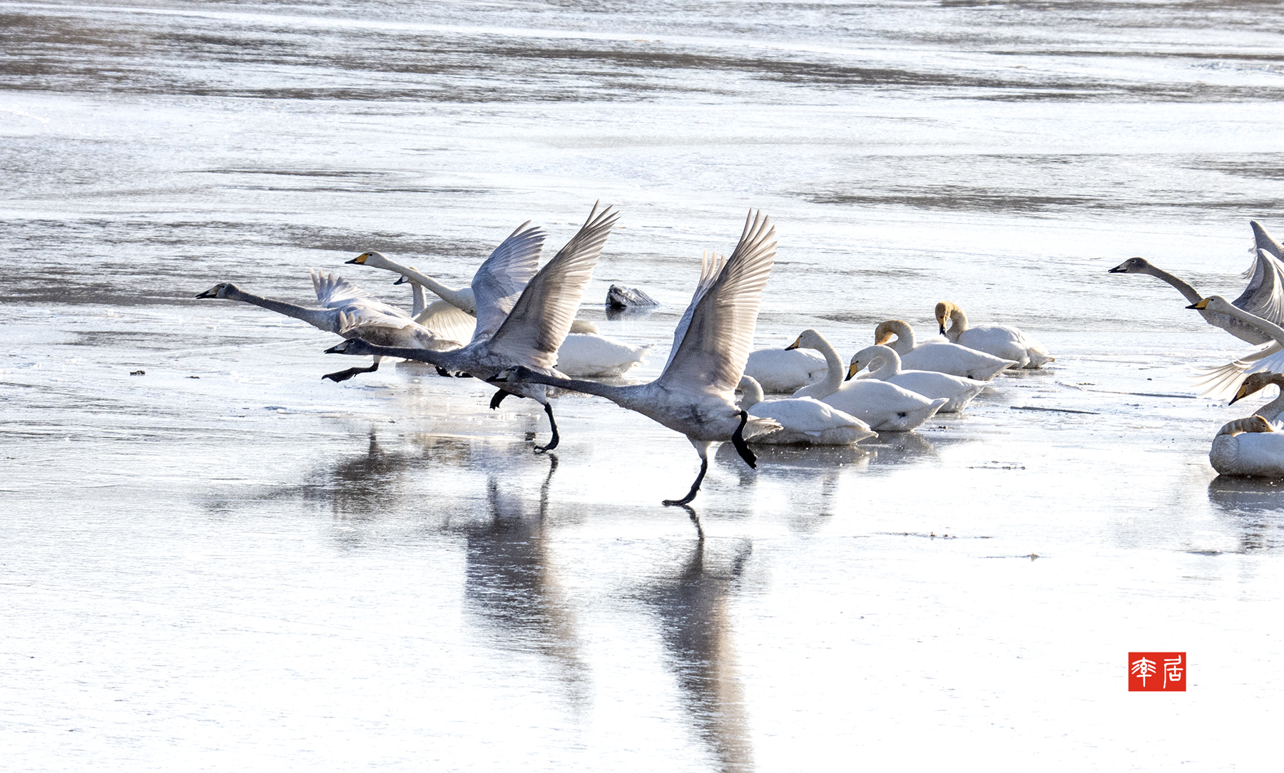 PHOTO BY changikheun | Canon EOS 90D | 2024:01:24 09:23:08 | ISO-400 | 1/1600 sec | f 8 | 190 mm | EV=0 | ● WIDTH:1800 pixels  HEIGHT:1084 pixels