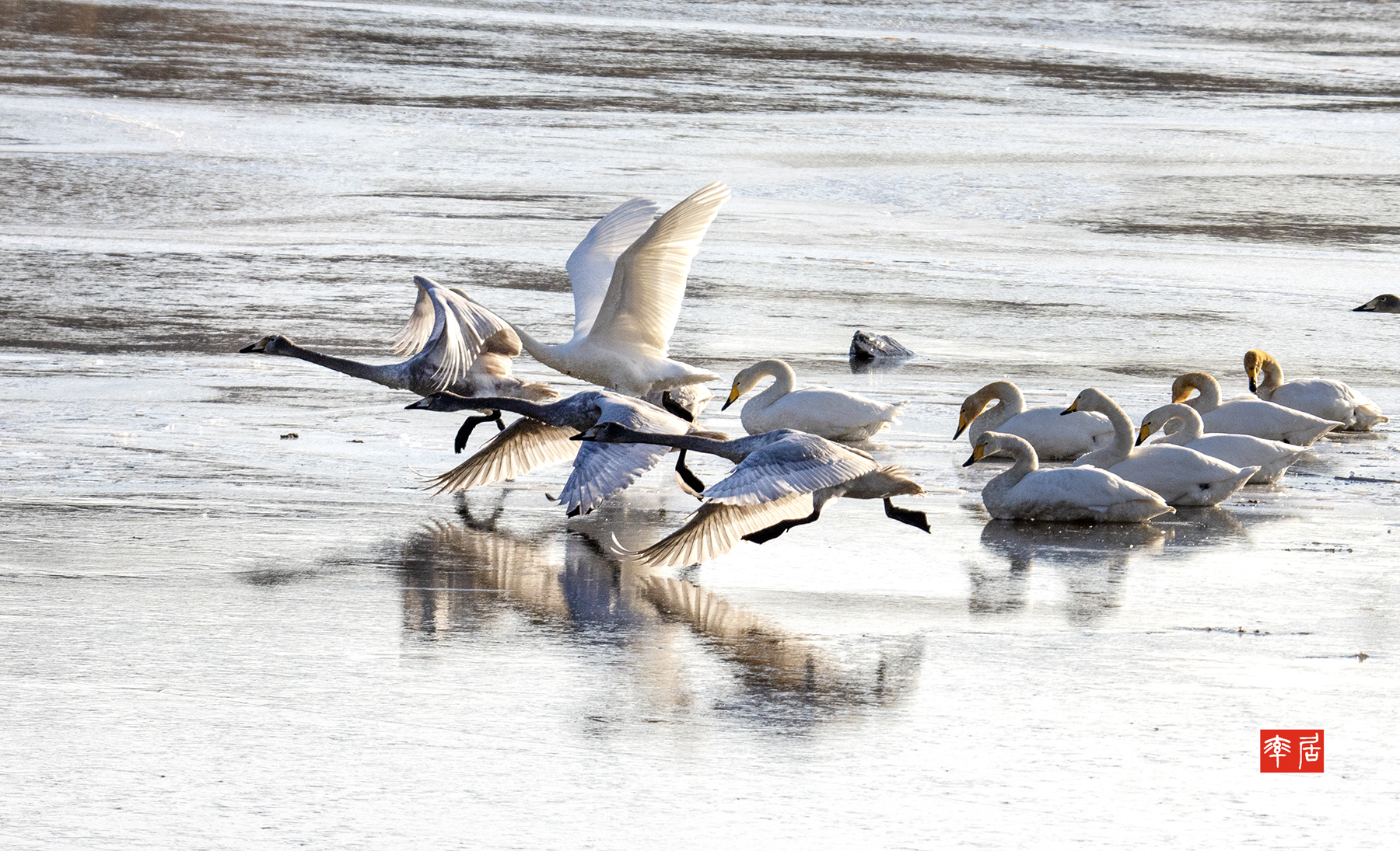 PHOTO BY changikheun | Canon EOS 90D | 2024:01:24 09:23:09 | ISO-400 | 1/1600 sec | f 8 | 190 mm | EV=0 | ● WIDTH:1800 pixels  HEIGHT:1095 pixels