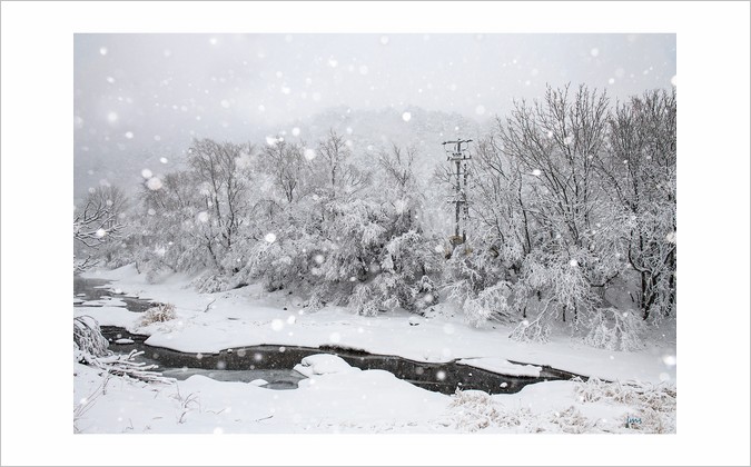 PHOTO BY JUN_MYOUNG_SUK | NIKON D850 | 2024:01:20 13:50:40 | ISO-250 | 1/1000 sec | f 5.6 | 29 mm | EV=-1.3 | ● WIDTH:1500 pixels  HEIGHT:1107 pixels