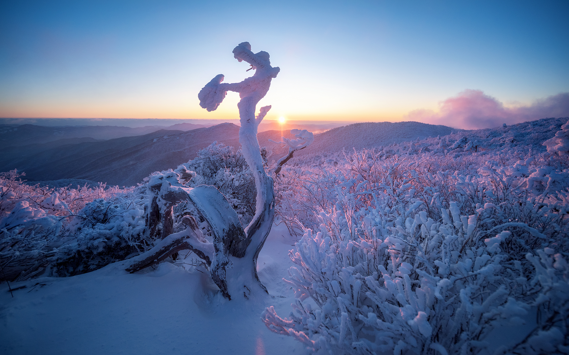 PHOTO BY  | NIKON D810 | 2024:01:24 07:34:03 | ISO-640 | 1/1000 sec |  |  | EV=0 | ● WIDTH:1920 pixels  HEIGHT:1200 pixels