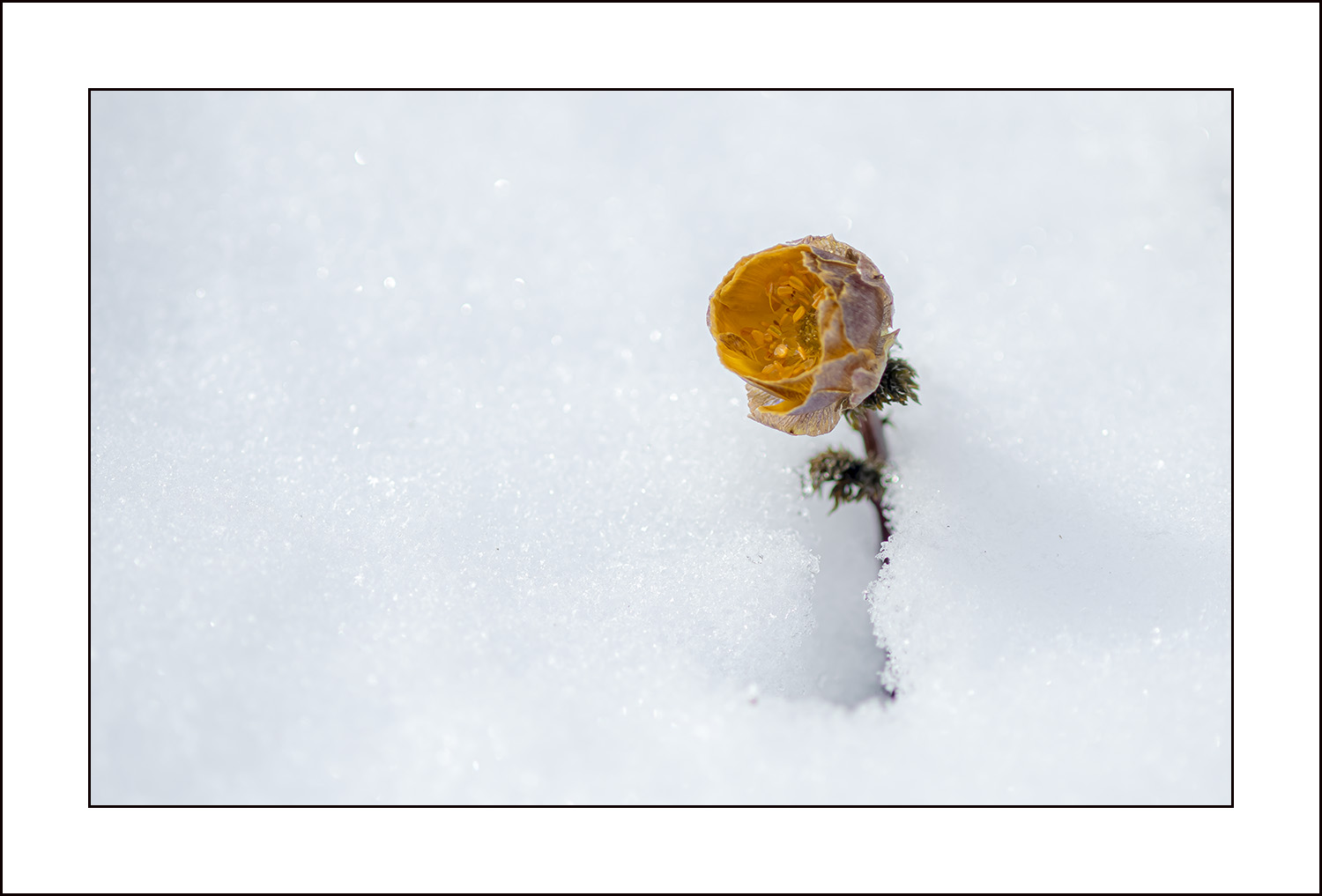   | PHOTO BY : 삿갓/정봉식  |