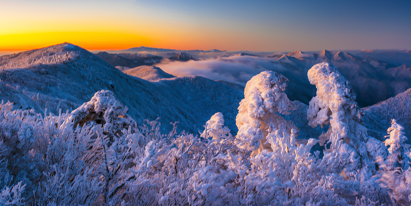 PHOTO BY  | NIKON D810 | 2024:01:25 07:43:54 | ISO-100 | 3/1 sec | f 11 | 35 mm | EV=-1 | ● WIDTH:1400 pixels  HEIGHT:703 pixels