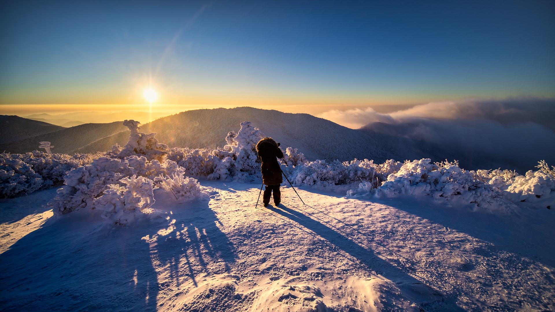 PHOTO BY CHQM | NIKON D850 | 2024:01:23 07:48:38 | ISO-100 | 1/2000 sec |  |  | EV=0 | ● WIDTH:1920 pixels  HEIGHT:1080 pixels