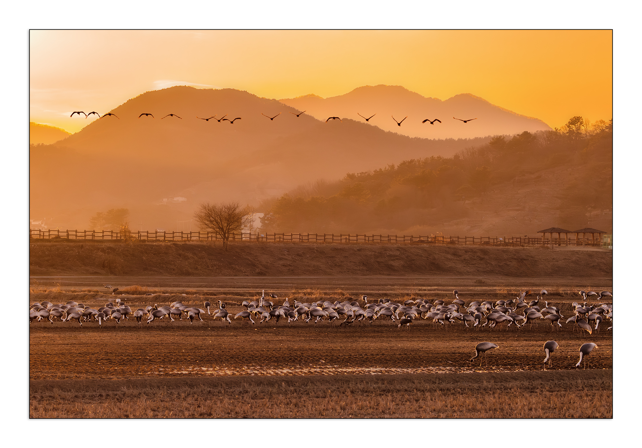 PHOTO BY  | Canon EOS R5 | 2024:01:25 17:27:34 | ISO-2500 | 1/1250 sec | f 8 | 100 mm | EV=-0.3 | ● WIDTH:2200 pixels  HEIGHT:1533 pixels