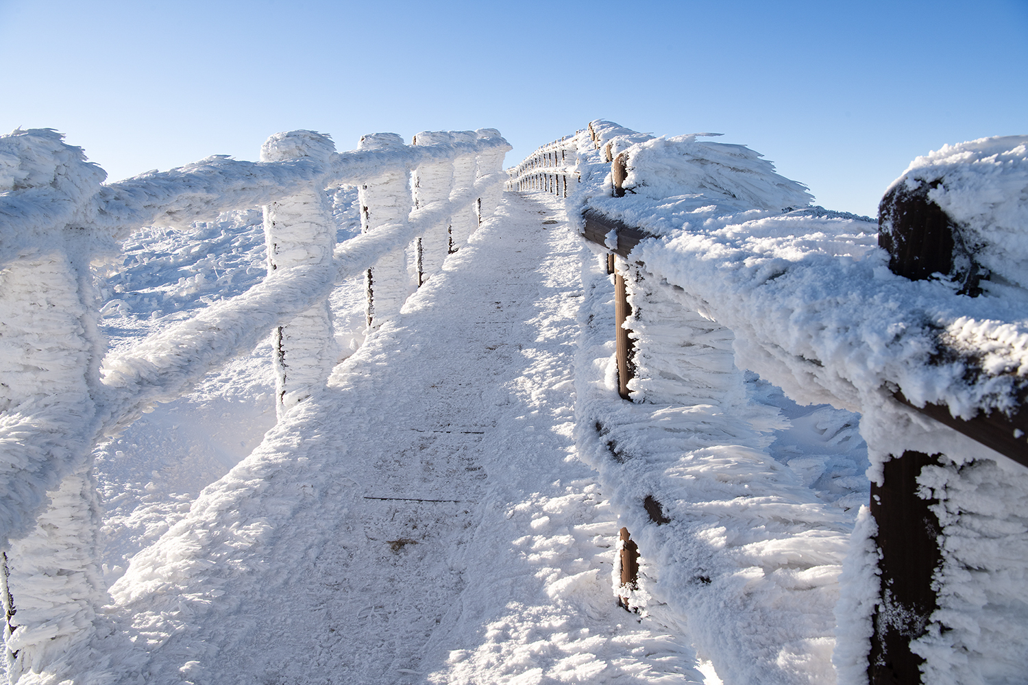 PHOTO BY CHQM | NIKON D850 | 2024:01:04 08:29:00 | ISO-200 | 1/200 sec | f 13 | 24 mm | EV=0 | ● WIDTH:1500 pixels  HEIGHT:1000 pixels