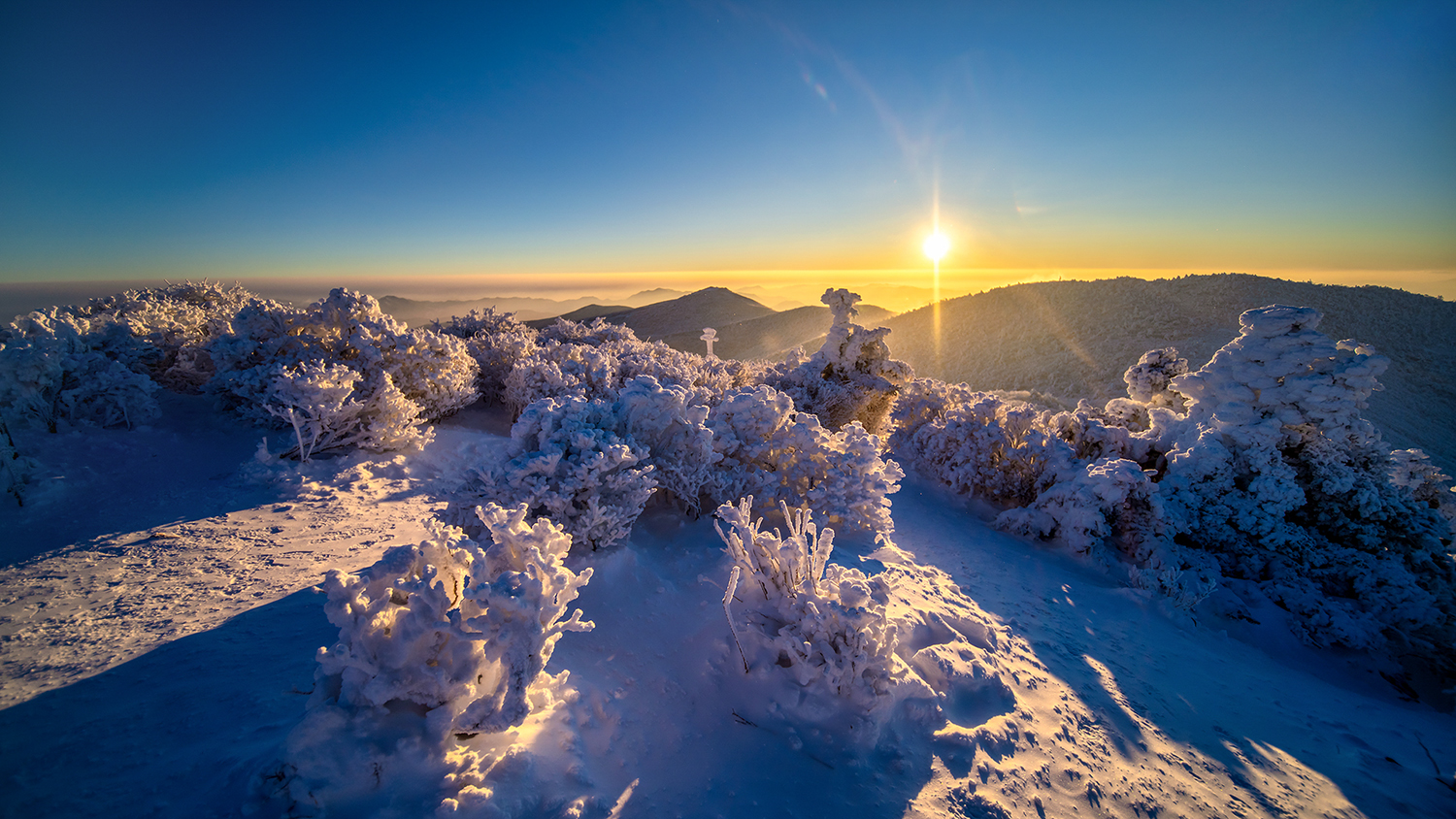 PHOTO BY CHQM | NIKON D850 | 2024:01:23 07:49:15 | ISO-100 | 1/4000 sec |  |  | EV=0 | ● WIDTH:1500 pixels  HEIGHT:844 pixels