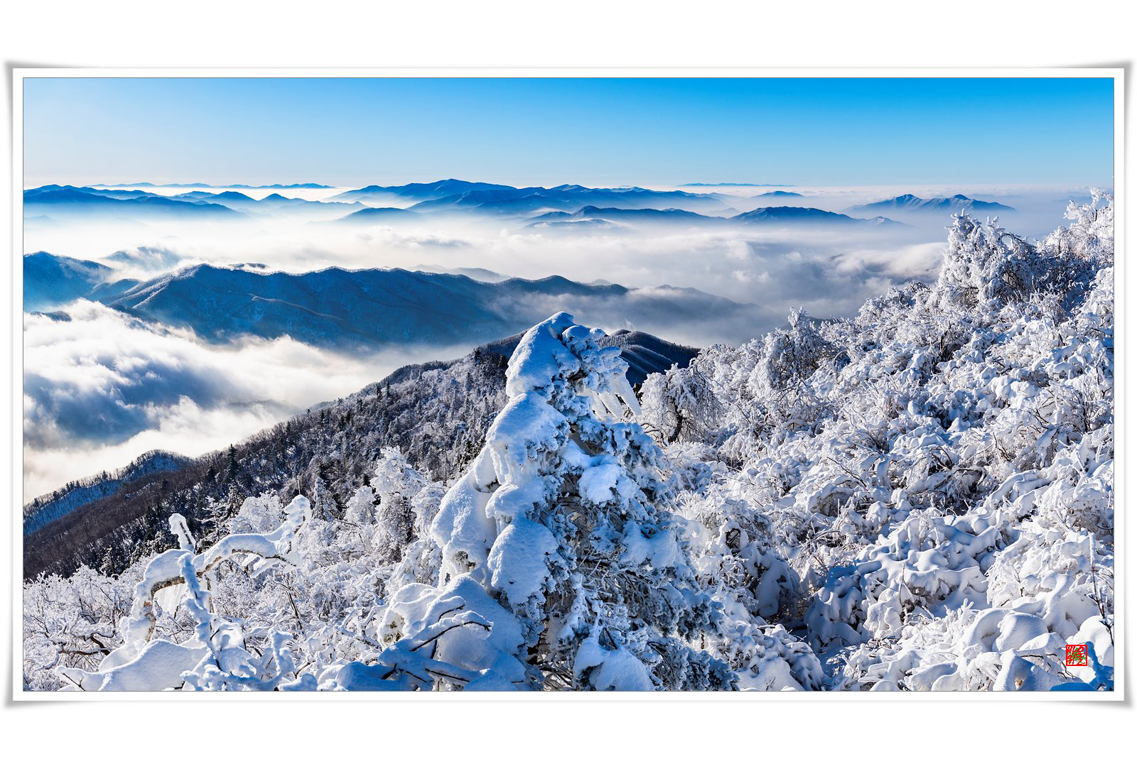 PHOTO BY TAEIN_L | NIKON D850 | 2024:01:04 08:56:41 | ISO-100 | 1/400 sec | f 11 | 35 mm | EV=0 | ● WIDTH:1600 pixels  HEIGHT:1083 pixels