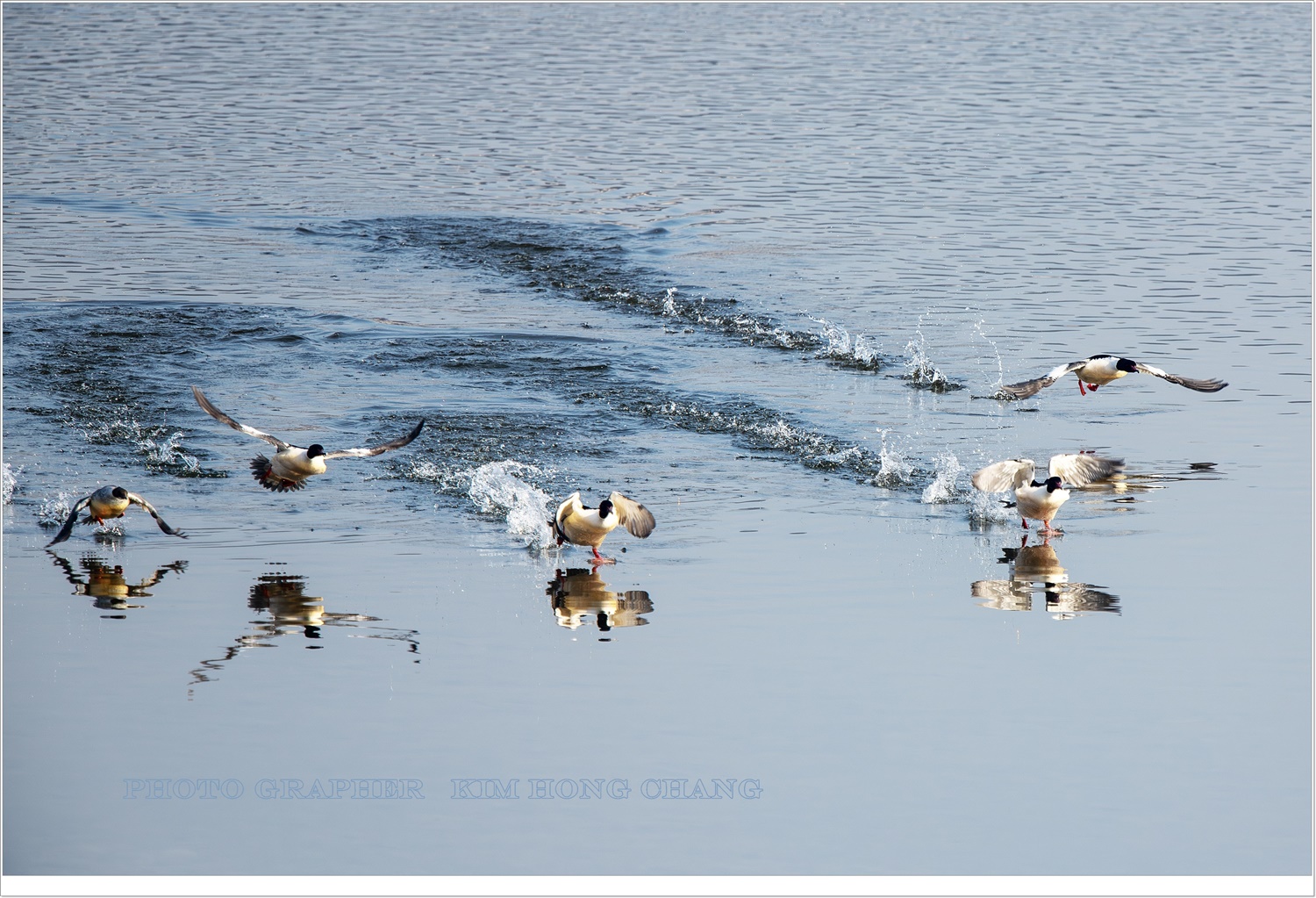 PHOTO BY  | NIKON D850 | 2024:01:30 10:10:41 | ISO-320 | 1/1600 sec | f 7.1 | 850 mm | EV=0 | ● WIDTH:5634 pixels  HEIGHT:3756 pixels