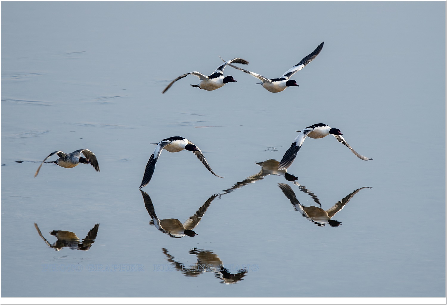 PHOTO BY  | NIKON D850 | 2024:01:30 10:10:44 | ISO-320 | 1/1600 sec | f 7.1 | 850 mm | EV=0 | ● WIDTH:5220 pixels  HEIGHT:3481 pixels