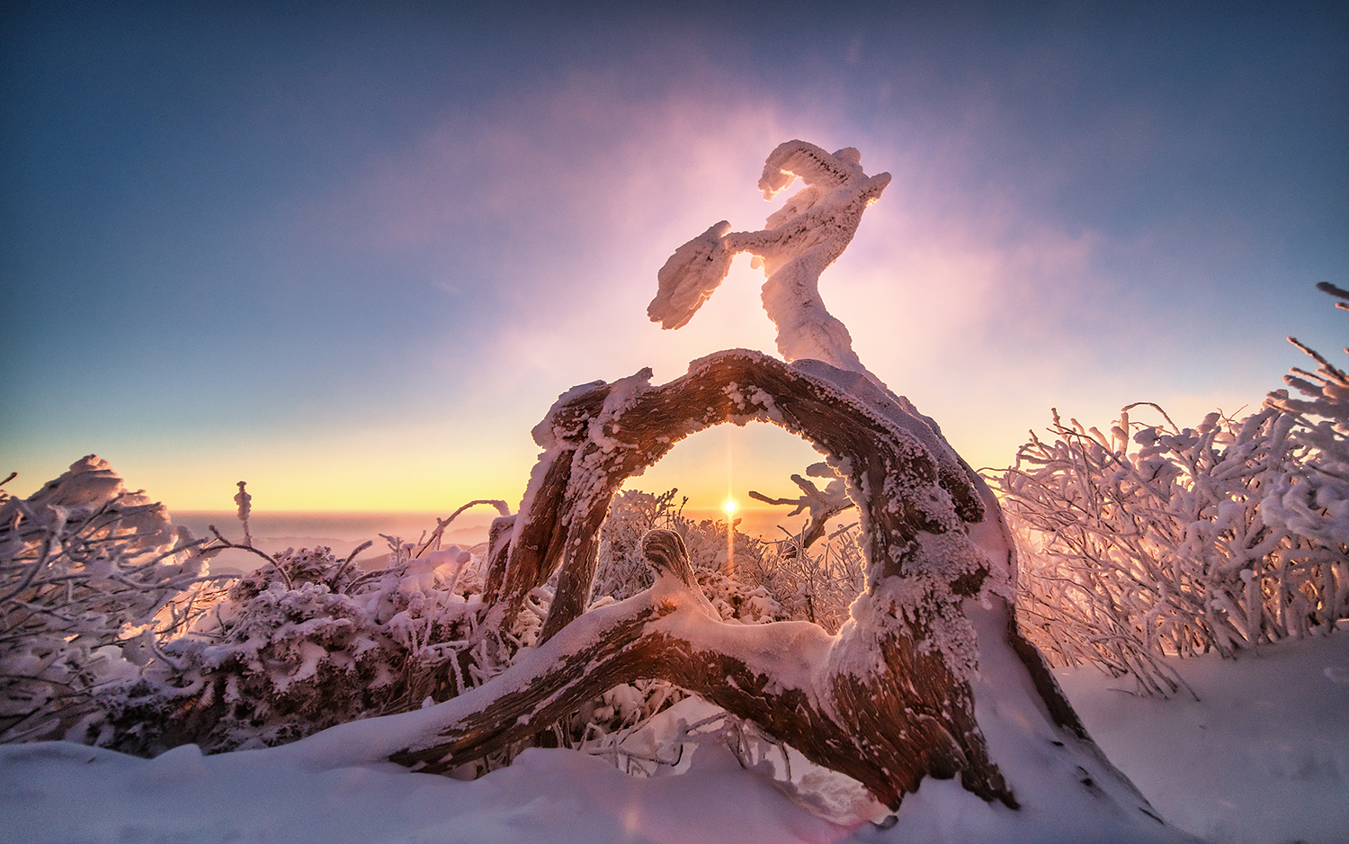 PHOTO BY CHQM | NIKON D850 | 2024:01:23 07:36:35 | ISO-400 | 1/6400 sec |  |  | EV=0 | ● WIDTH:1500 pixels  HEIGHT:938 pixels