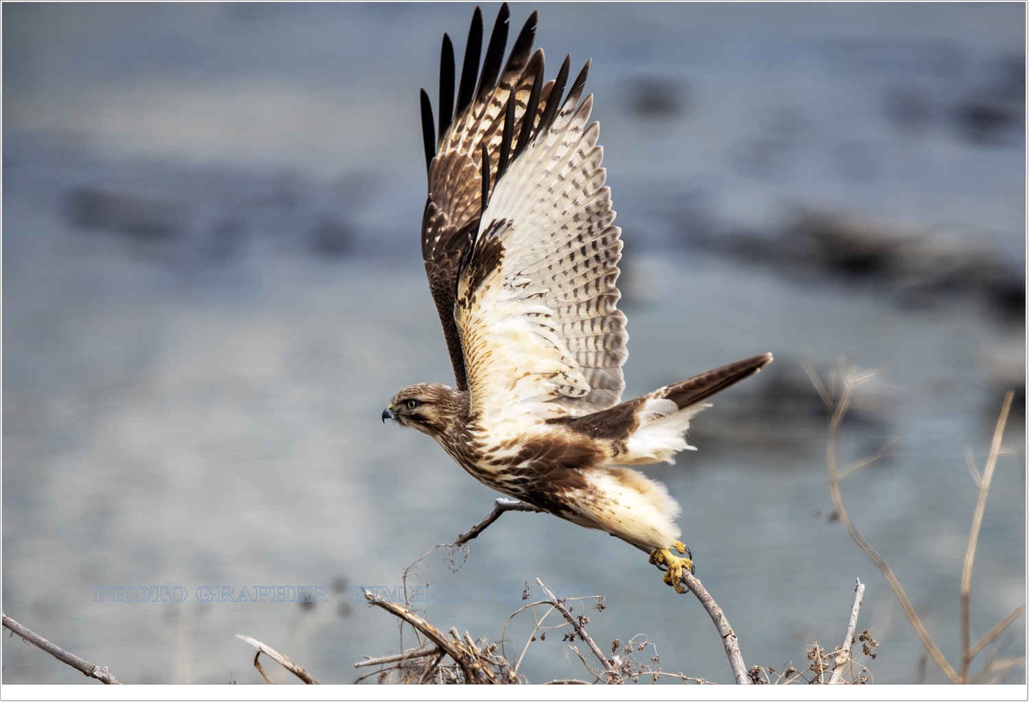 PHOTO BY  | NIKON D850 | 2024:01:31 10:04:27 | ISO-640 | 1/1600 sec | f 7.1 | 850 mm | EV=0 | ● WIDTH:6044 pixels  HEIGHT:4030 pixels