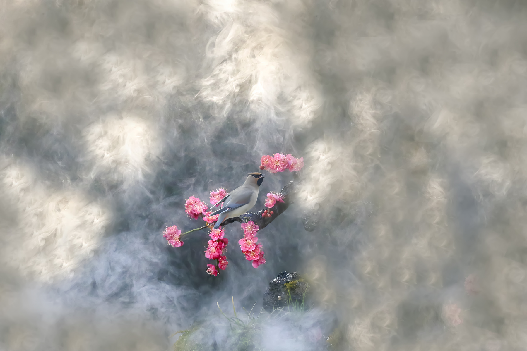 PHOTO BY WO2YA LAB | Canon EOS-1D X Mark II | 2024:01:15 15:59:28 | ISO-3200 | 1/2000 sec | f 14 | 286 mm | EV=0 | ● WIDTH:1800 pixels  HEIGHT:1200 pixels