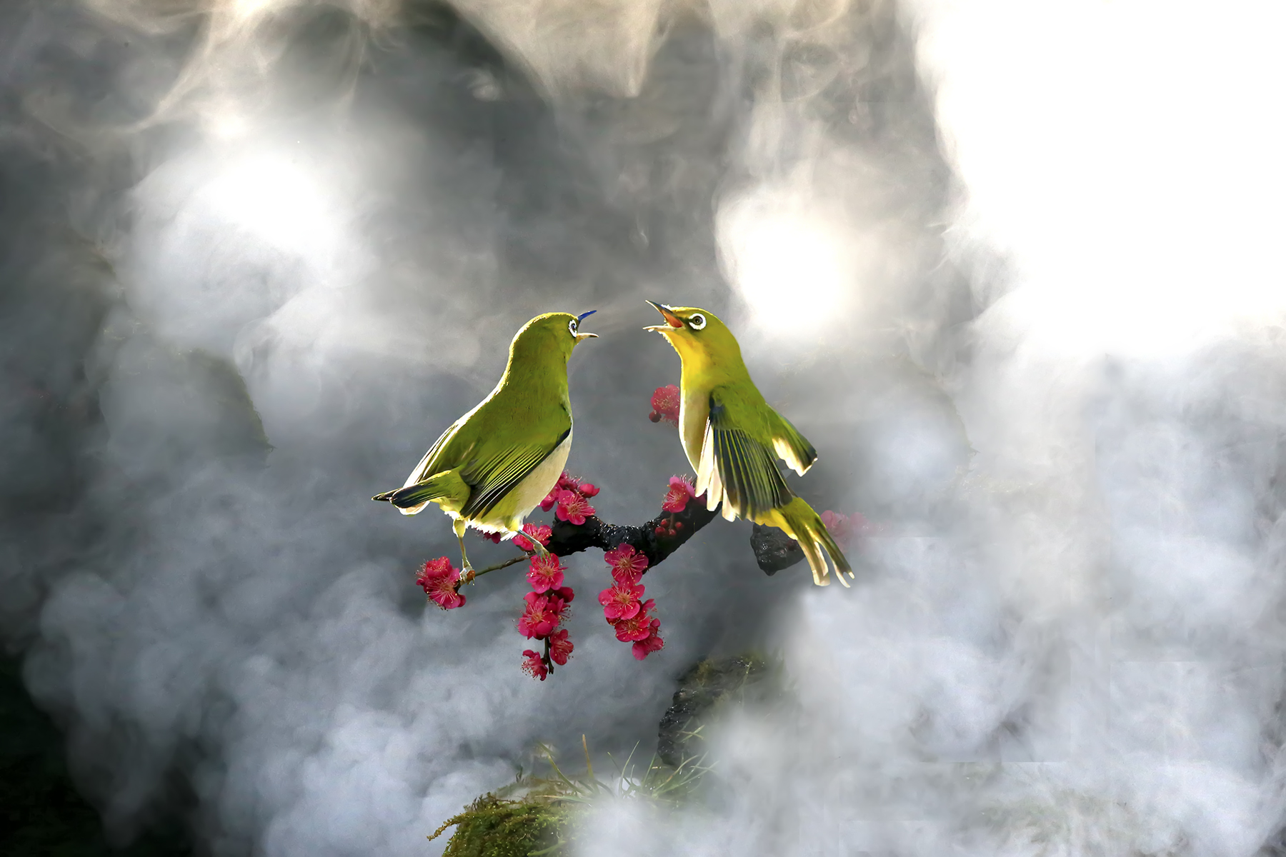 PHOTO BY WO2YA LAB | Canon EOS-1D X Mark II | 2024:01:15 15:59:28 | ISO-3200 | 1/2000 sec | f 14 | 286 mm | EV=0 | ● WIDTH:1800 pixels  HEIGHT:1200 pixels