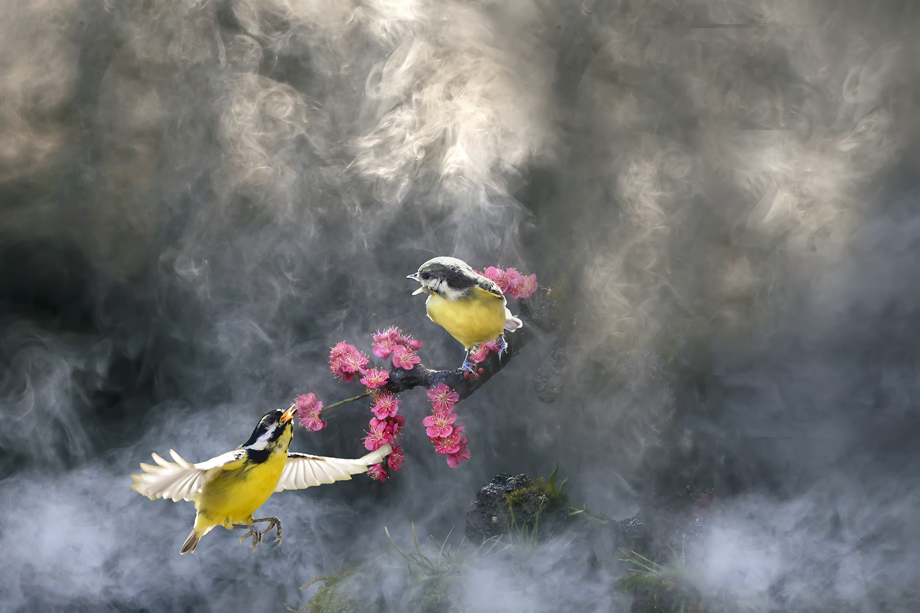 PHOTO BY WO2YA LAB | Canon EOS-1D X Mark II | 2024:01:15 15:59:29 | ISO-3200 | 1/2000 sec | f 14 | 286 mm | EV=0 | ● WIDTH:1800 pixels  HEIGHT:1200 pixels