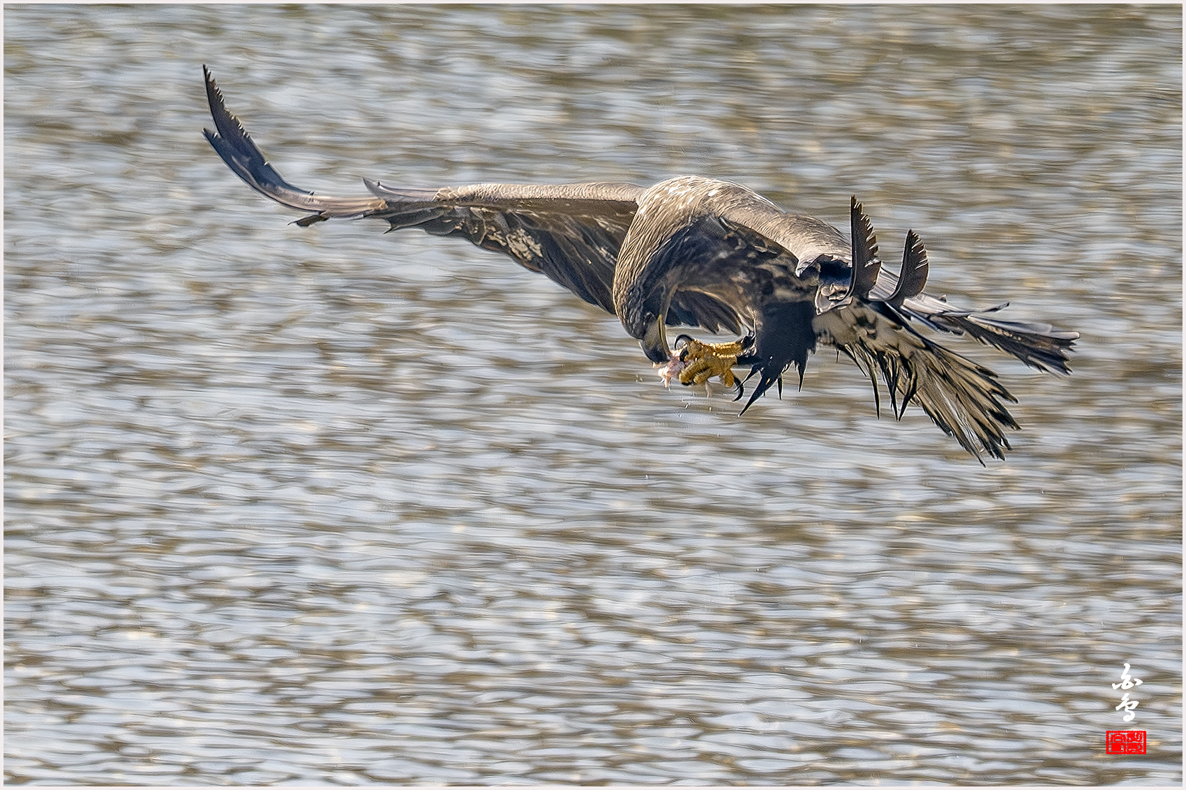 PHOTO BY  | NIKON Z 9 | 2024:01:30 12:55:53 | ISO-640 | 1/4000 sec | f 7.1 | 840 mm | EV=-0.7 | ● WIDTH:1700 pixels  HEIGHT:1133 pixels