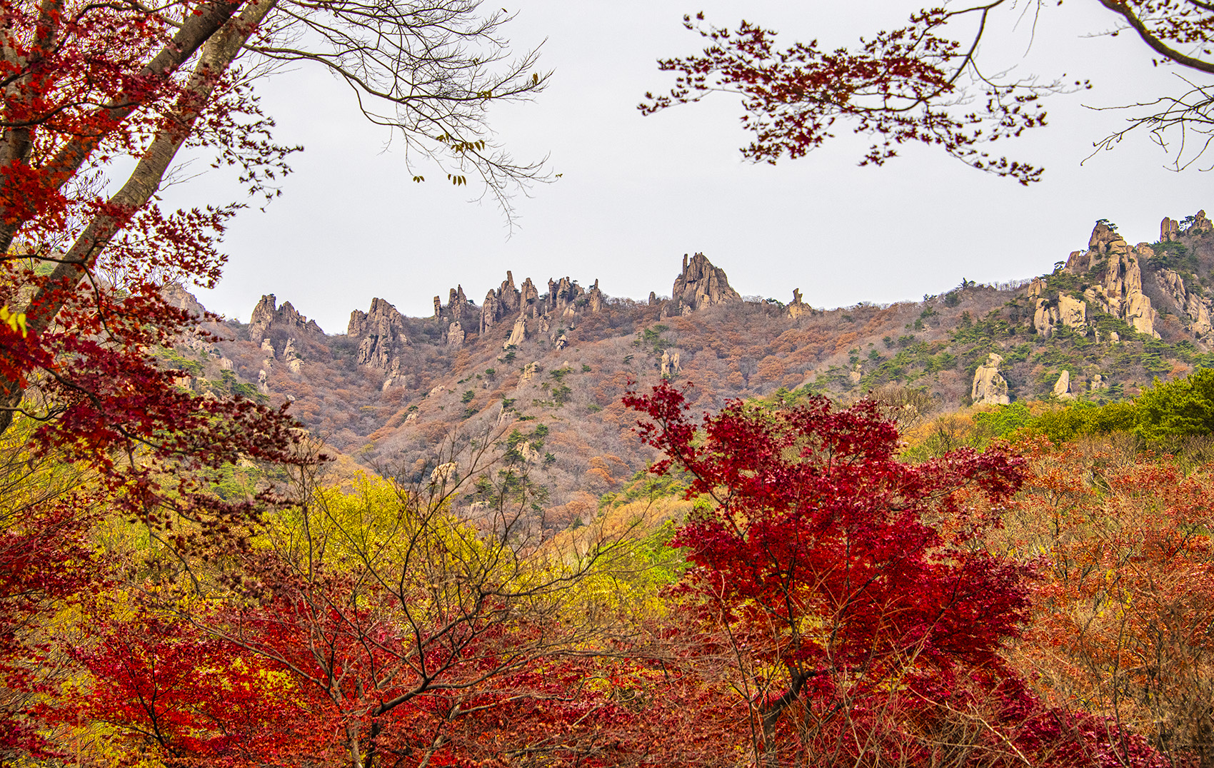 PHOTO BY  | NIKON D850 | 2023:11:26 14:19:38 | ISO-400 | 1/1000 sec | f 8 | 82 mm | EV=0 | ● WIDTH:1700 pixels  HEIGHT:1076 pixels