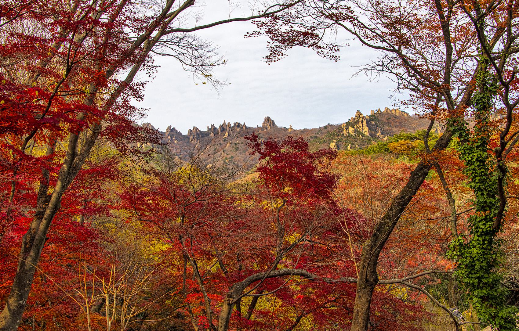 PHOTO BY  | NIKON D850 | 2023:11:26 14:35:05 | ISO-400 | 1/800 sec | f 10 | 44 mm | EV=0 | ● WIDTH:1700 pixels  HEIGHT:1085 pixels