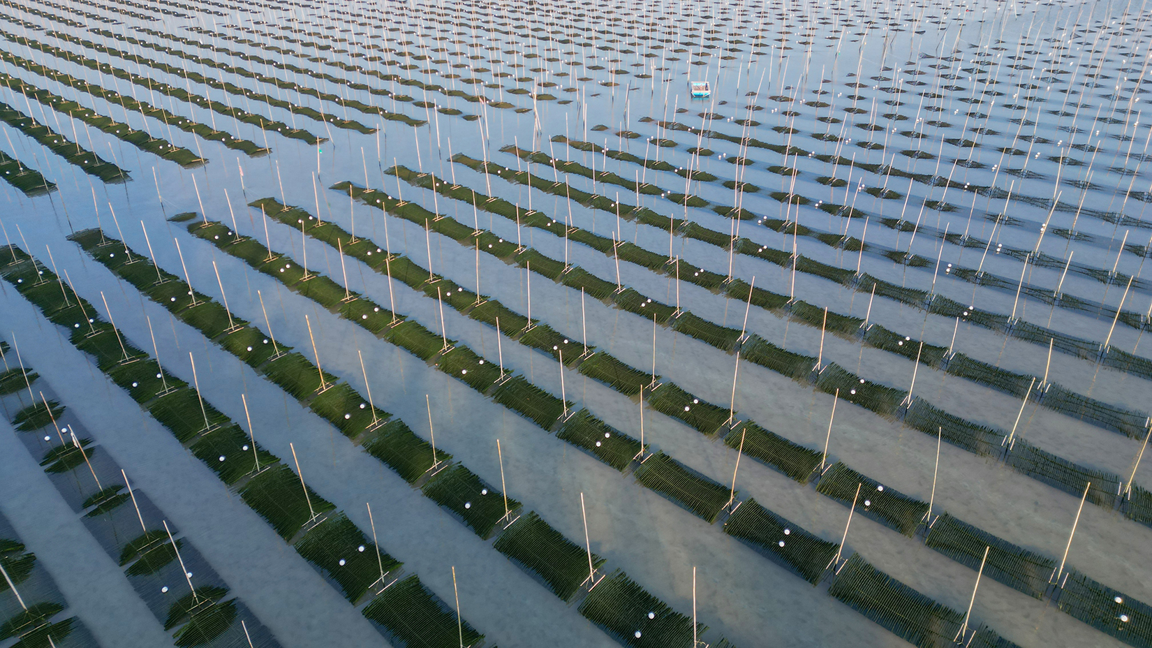 PHOTO BY  | FC3582 | 2024:01:27 10:43:56 | ISO-200 | 1/800 sec | f 1.7 | 6.72 mm | EV=0 | ● WIDTH:1650 pixels  HEIGHT:928 pixels