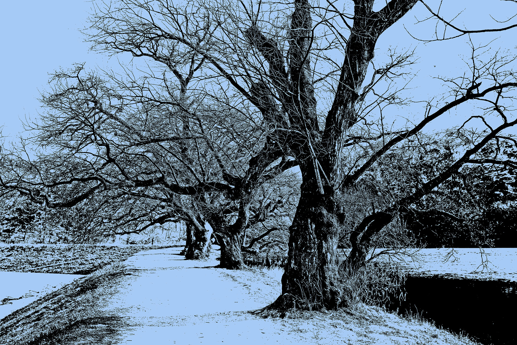   | PHOTO BY : 몰운대/조태열  |