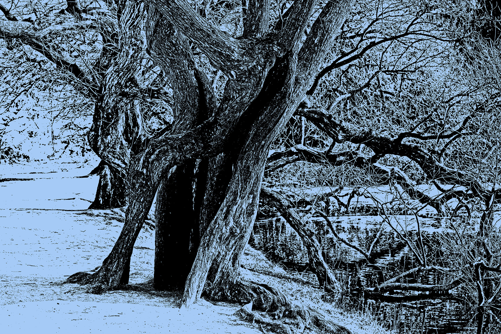   | PHOTO BY : 몰운대/조태열  |