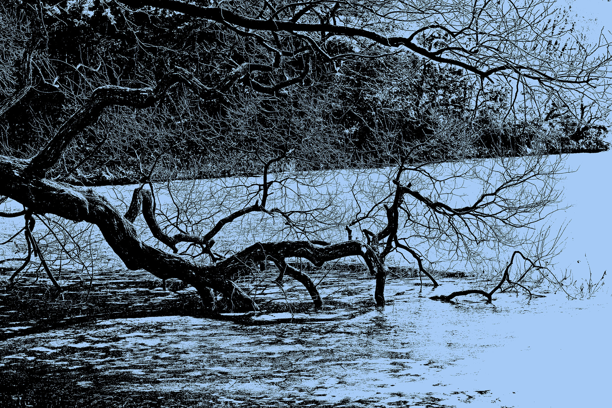   | PHOTO BY : 몰운대/조태열  |