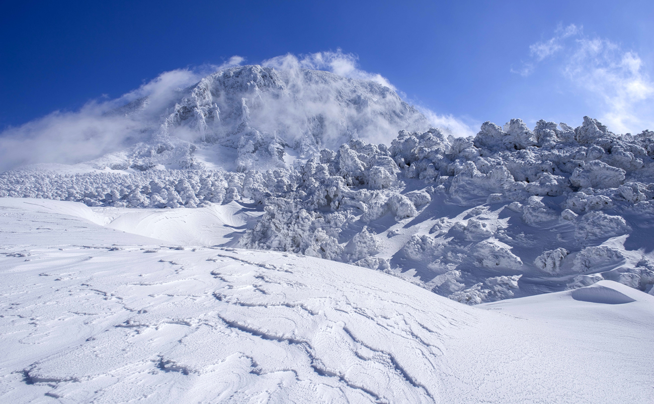   | PHOTO BY : 한라김/전주연  |