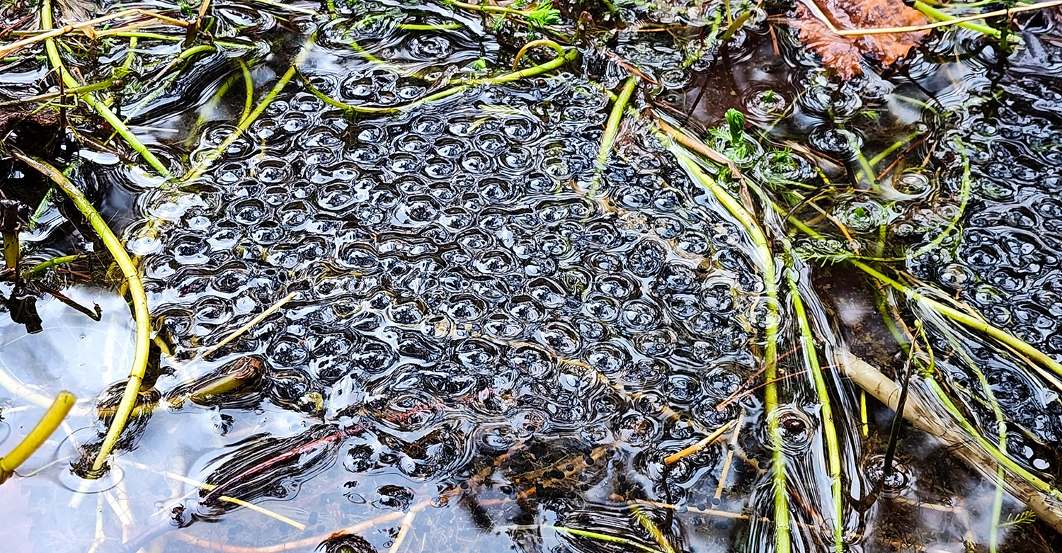 PHOTO BY  | SM-S908N | 2024:02:03 14:54:27 | ISO-100 | 1/60 sec | f 1.8 | 6.4 mm | EV=0 | ● WIDTH:1500 pixels  HEIGHT:781 pixels