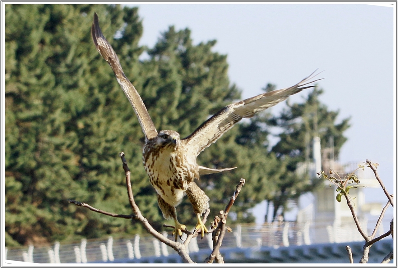 PHOTO BY  | Canon EOS 7D Mark II | 2024:01:17 22:13:01 | ISO-500 | 1/800 sec | f 9 | 150 mm | EV=0 | ● WIDTH:5472 pixels  HEIGHT:3648 pixels