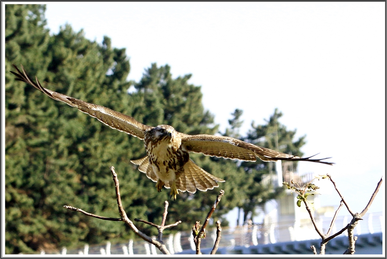 PHOTO BY  | Canon EOS 7D Mark II | 2024:01:17 22:13:01 | ISO-500 | 1/800 sec | f 9 | 150 mm | EV=0 | ● WIDTH:5472 pixels  HEIGHT:3648 pixels