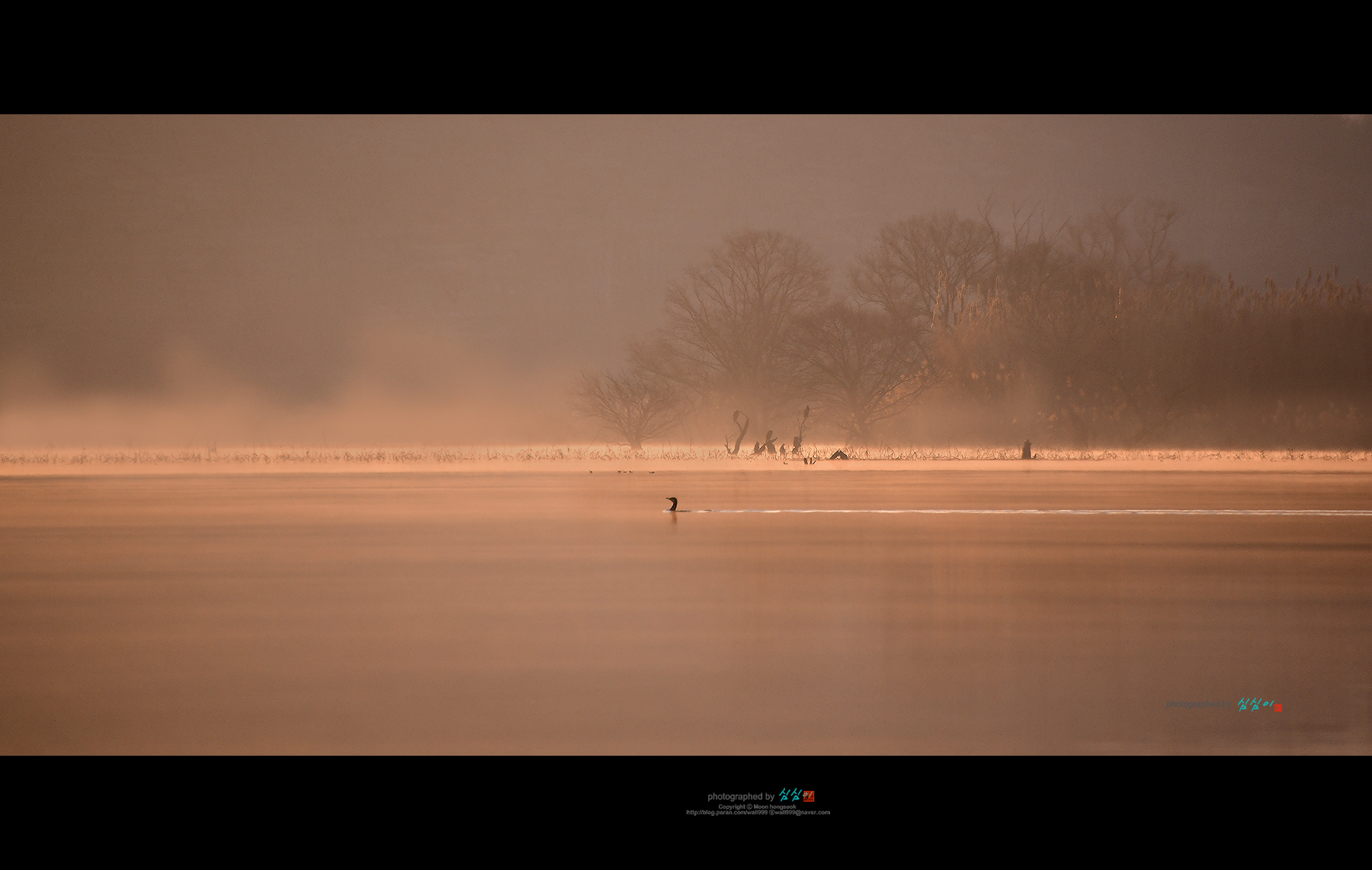 PHOTO BY MHS | NIKON D850 | 2024:01:14 07:51:16 | ISO-500 | 1/2000 sec | f 5.6 | 300 mm | EV=0 | ● WIDTH:1800 pixels  HEIGHT:1142 pixels