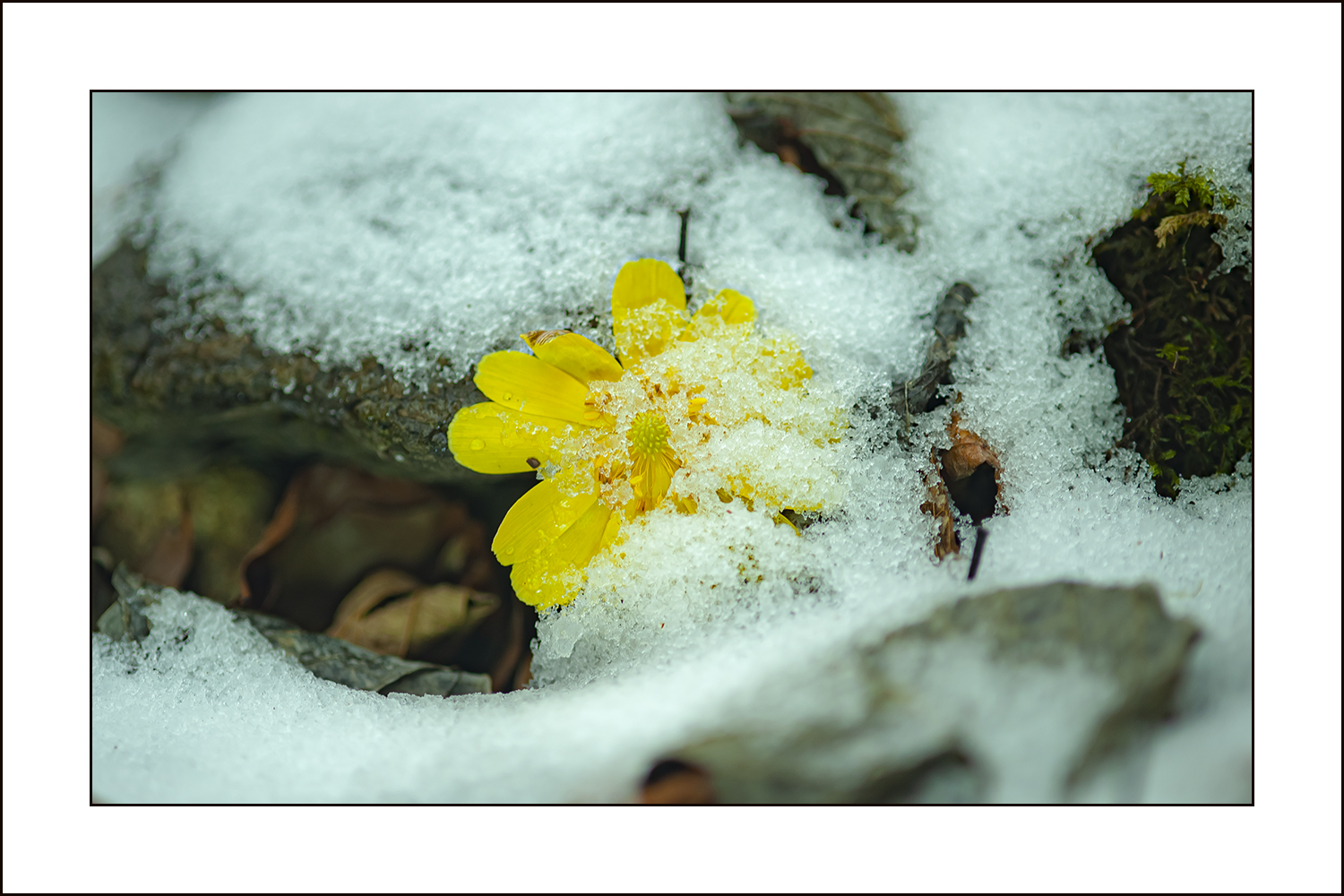   | PHOTO BY : 삿갓/정봉식  |